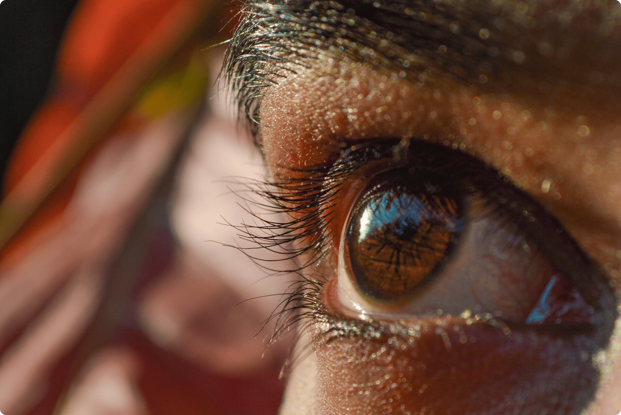 Untitled design - 2025-11-06T190218.781 Untitled design - 2025-11-06T190218.781